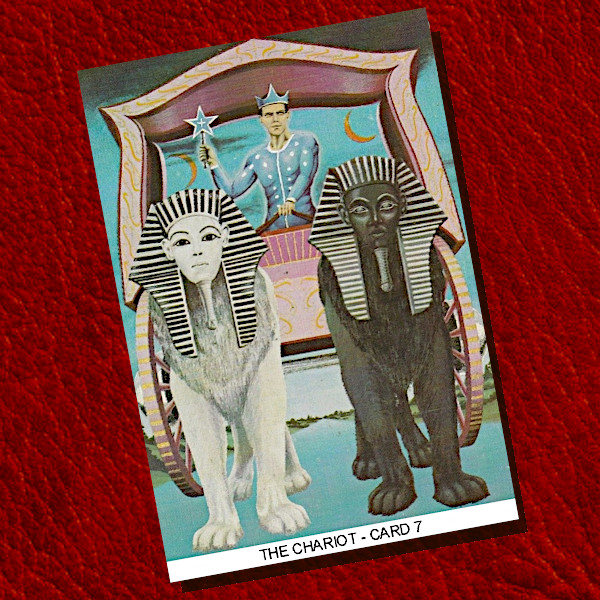 The Chariot Card